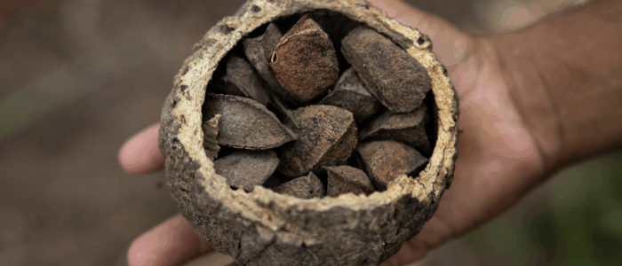 SustentaBio mat1 (3)