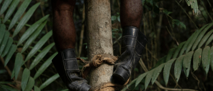 SustentaBio mat1 (4)