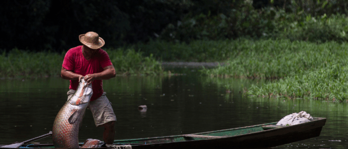 SustentaBio mat1 (6)