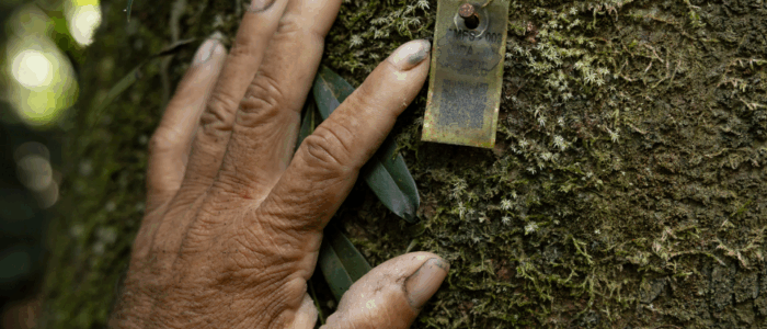 SustentaBio mat1 (8)