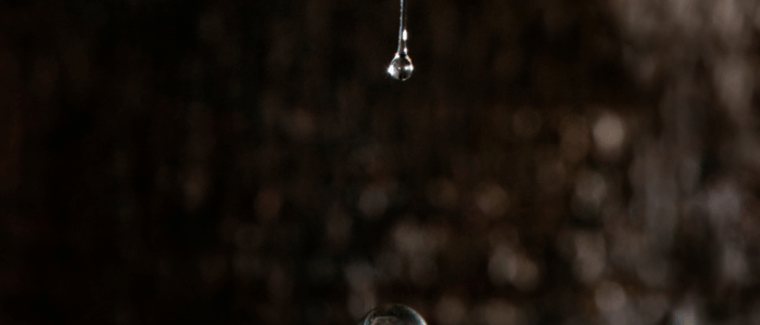 SustentaBio mat1 (9)